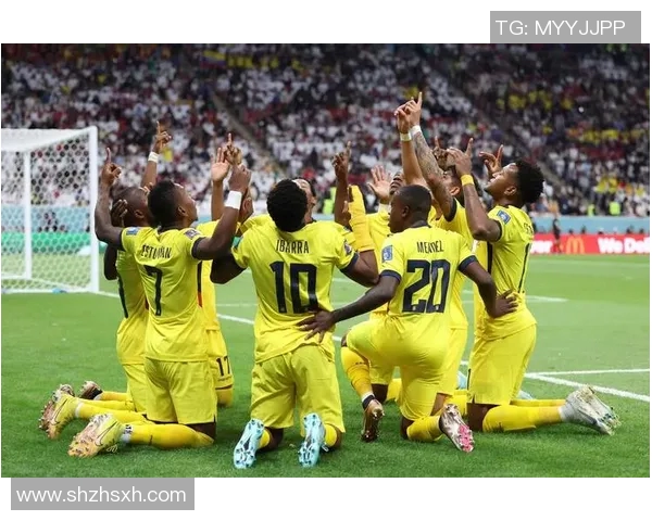 卡塔尔足球明星表现不佳引发球迷愤怒的言论集锦